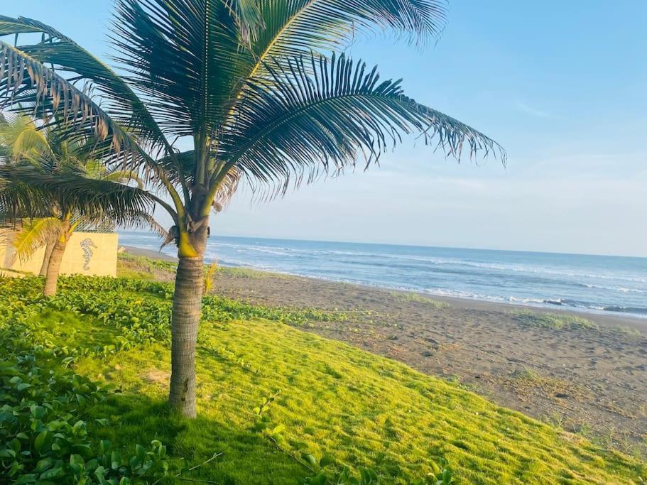 Beachfront Home With Infinity Pool & Calm Sunsets Escuintla Exterior photo